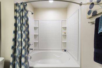 Shower and tub combination